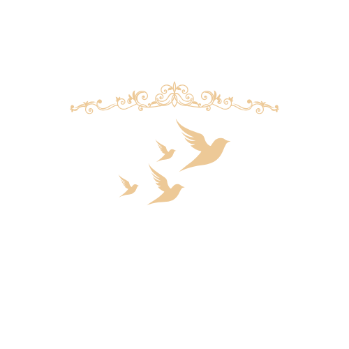 Blue & Black Study Book Logo (51)